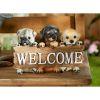 Accent Plus Cute Puppies Welcome Plaque