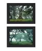 "Enchanted Forest Collection" 2-Piece Vignette By Martin Podt; Ready to Hang Framed Print; Black Frame