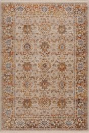 Stylish Classic Pattern Design Vintage Bohemian Southwestern Sierra Area Rug (Color: Ivory|Beige, size: 4' X 6')